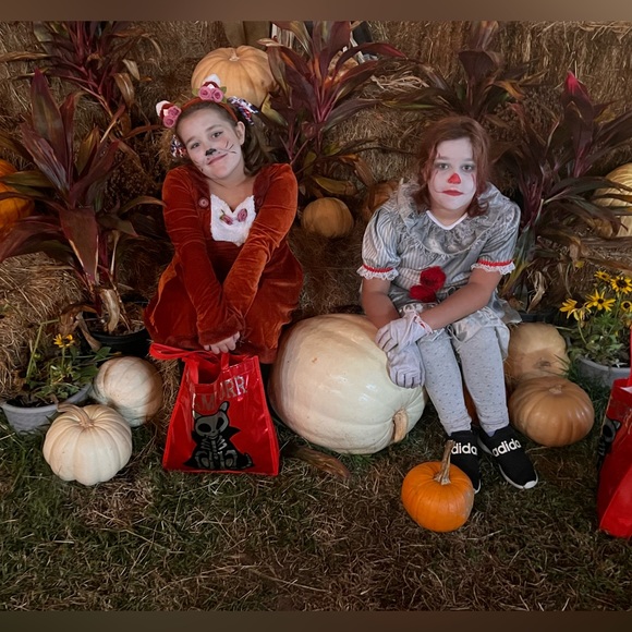 Meet your Posher, Holly - Picture 4 of 5